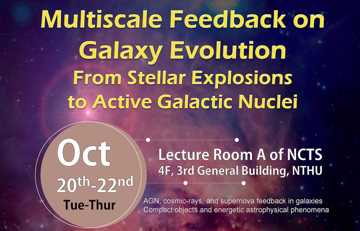 Multiscale Feedback on Galaxy Evolution: From Stellar Explosions to Active Galactic Nuclei